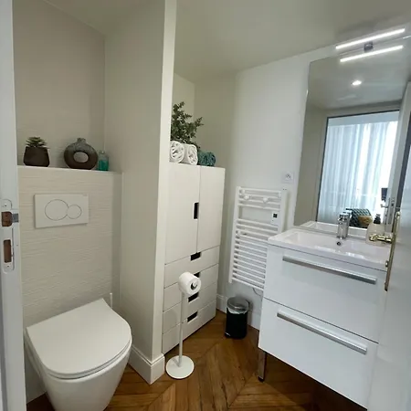 Appartements De Charme Du General Leclerc - Place D'Erlon - Hypercentre - Gare - Reims Buitenkant foto